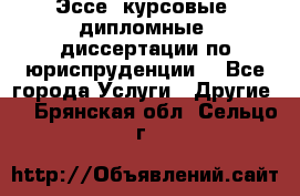 Эссе, курсовые, дипломные, диссертации по юриспруденции! - Все города Услуги » Другие   . Брянская обл.,Сельцо г.